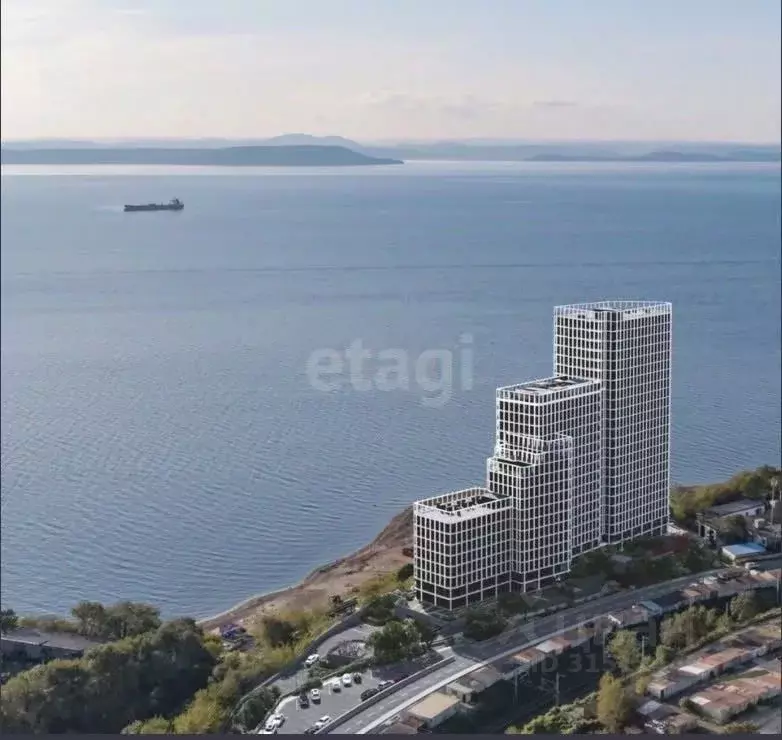 2-к кв. Приморский край, Владивосток ул. Мыс Кунгасный, 3Б (43.0 м) - Фото 0