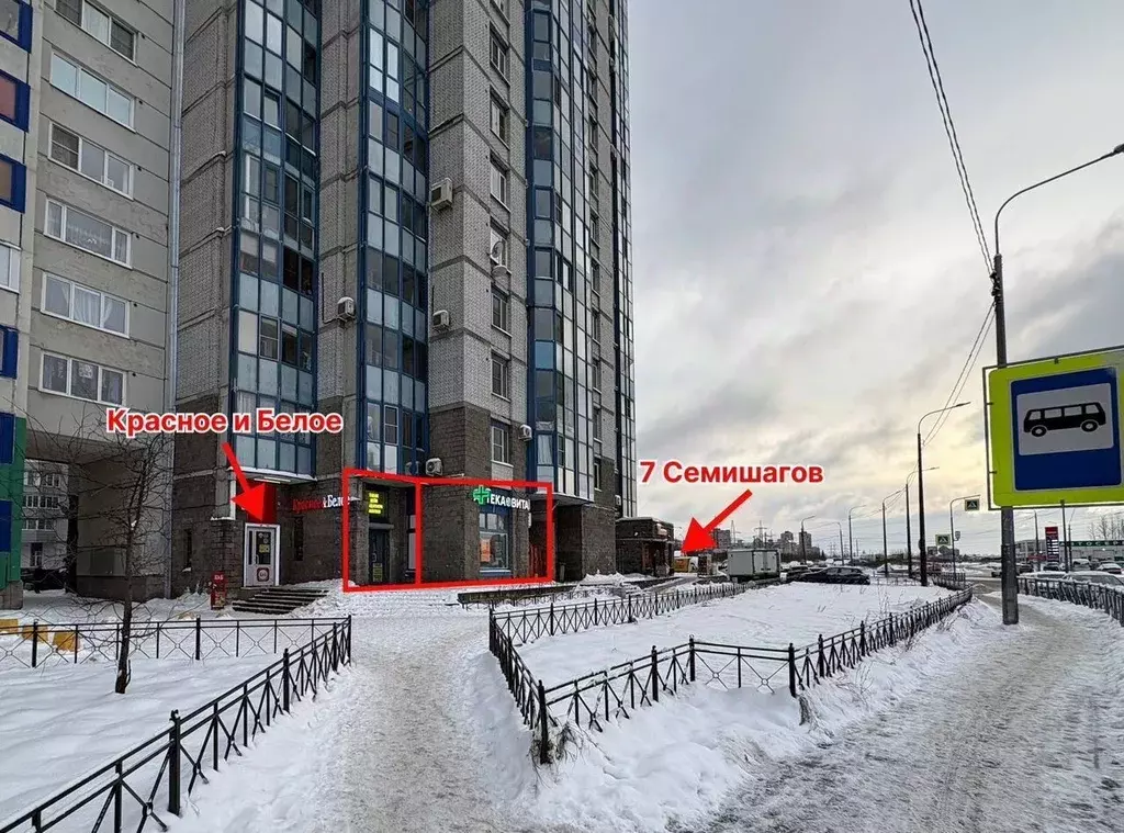 Помещение свободного назначения в Санкт-Петербург ул. Димитрова, ... - Фото 2