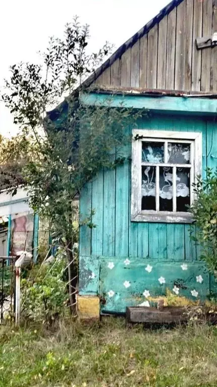 Дом в Башкортостан, Чишминский район, д. Алкино  (20 м) - Фото 2