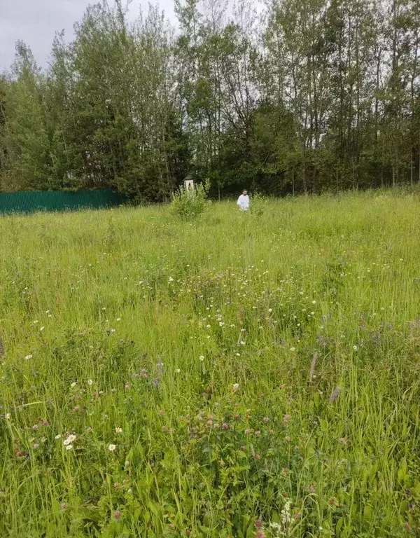 Участок в Московская область, Сергиево-Посадский городской округ, д. ... - Фото 1