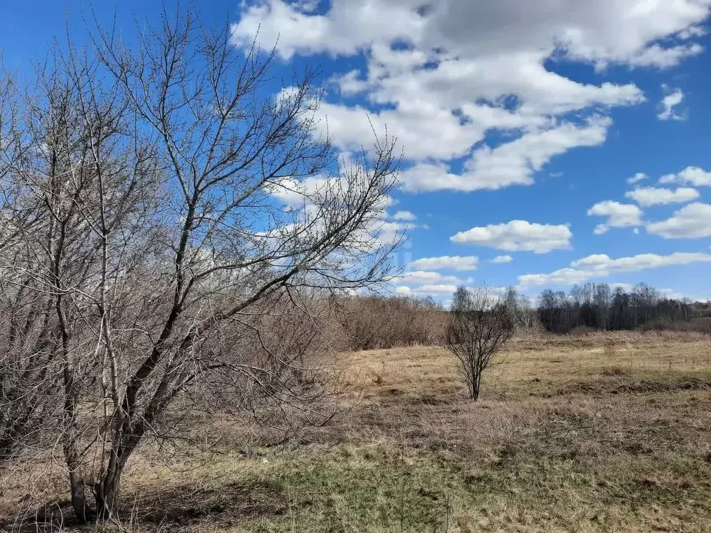 Участок в Кемеровская область, Кемерово Еловая ул. (14.4 сот.) - Фото 0