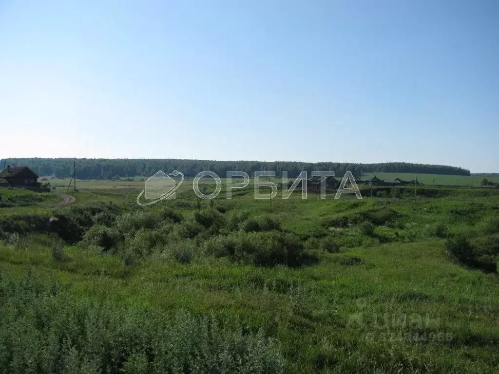 Участок в Тюменская область, Тюменский муниципальный округ, с. Каменка ... - Фото 2