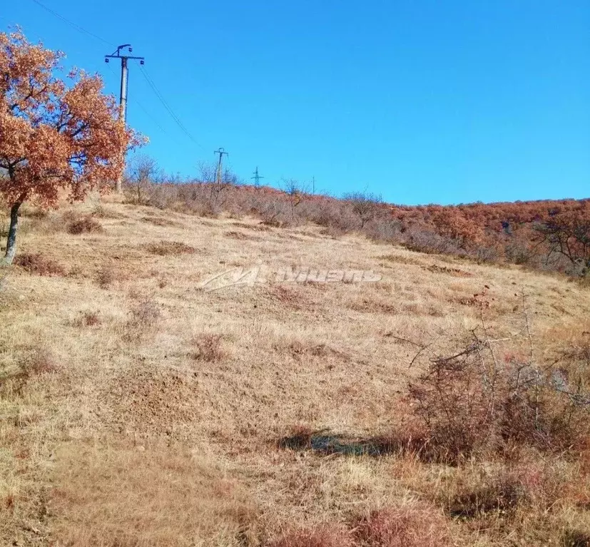 Участок в Крым, Алушта муниципальный округ, с. Малореченское ул. ... - Фото 2