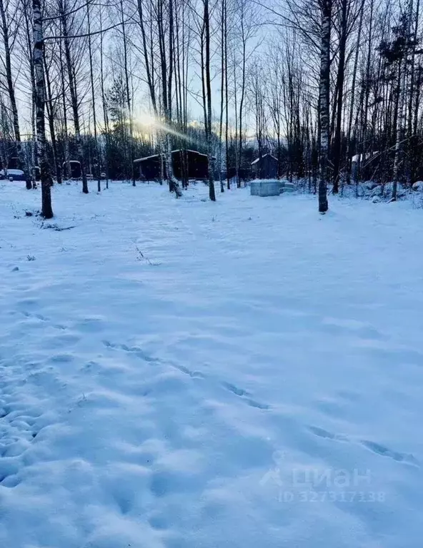 Участок в Ленинградская область, Приозерский район, Красноозерное ... - Фото 1