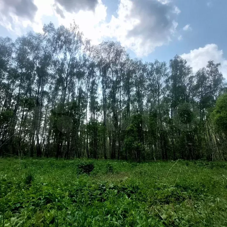 Дом 300 м на участке 15 сот. - Фото 0