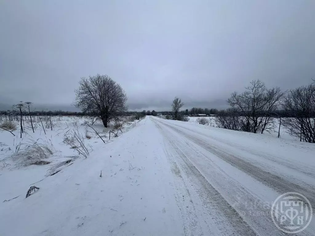 Участок в Ленинградская область, Выборгский район, пос. Гончарово ш. ... - Фото 2