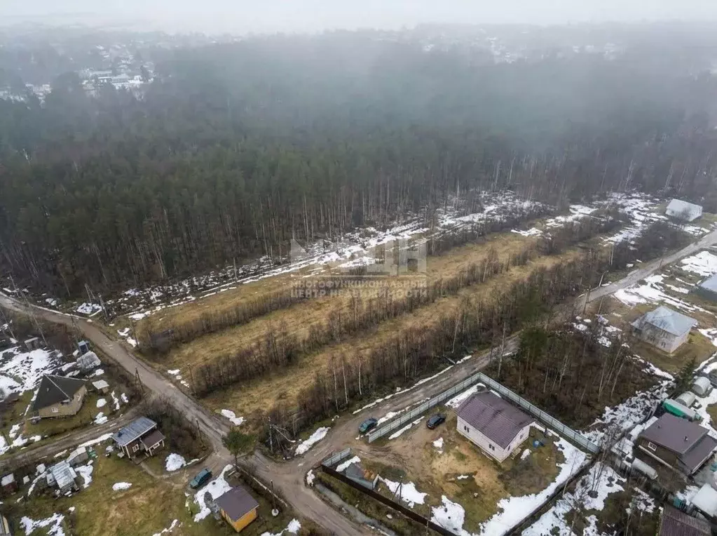 Участок в Карелия, Прионежский район, с. Заозерье Новоручейная ул. ... - Фото 1