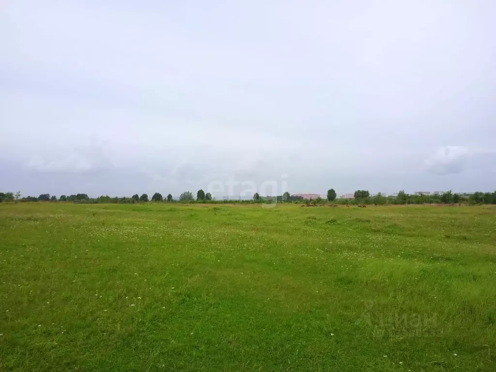 Участок в Красноярский край, Сосновоборск городской округ, Холевин .,  Купить земельный участок Урочище Холевин ручей, Березовский район, ID  объекта - 20006642002