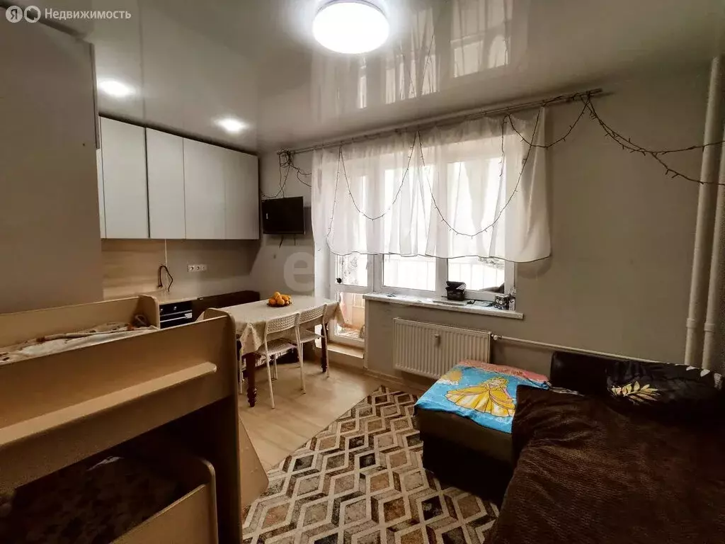 Квартира-студия: Тюмень, улица Новосёлов, 115 (24.1 м) - Фото 2