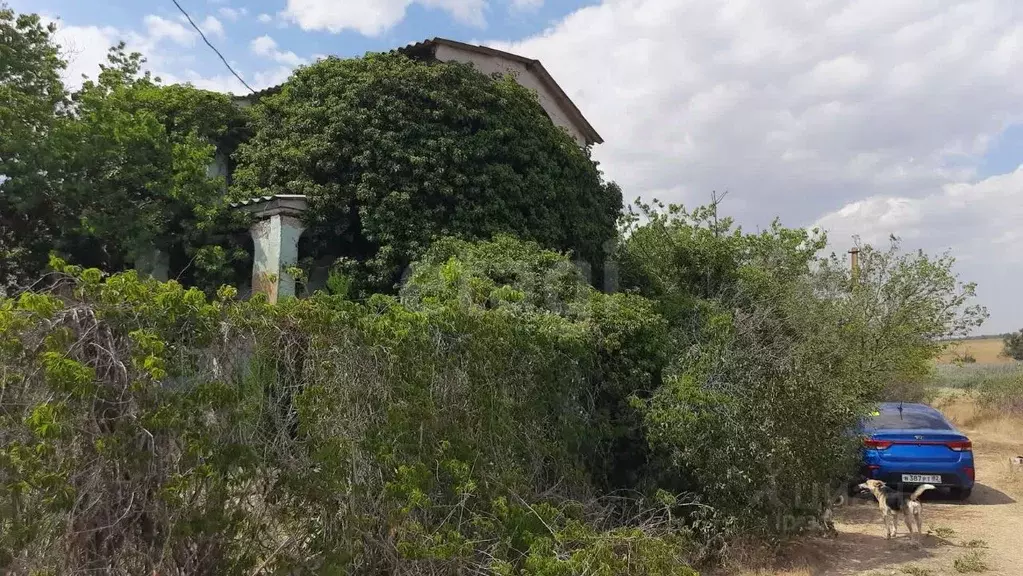 Дом в Крым, Сакский район, Лесновское с/пос, Дружба СНТ  (60 м) - Фото 2