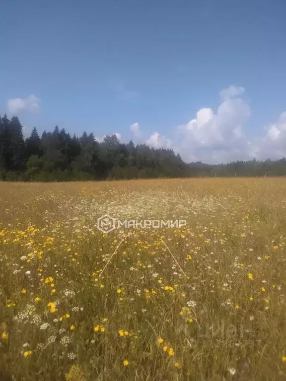 Участок в Пермский край, с. Хохловка  (420.0 сот.) - Фото 1