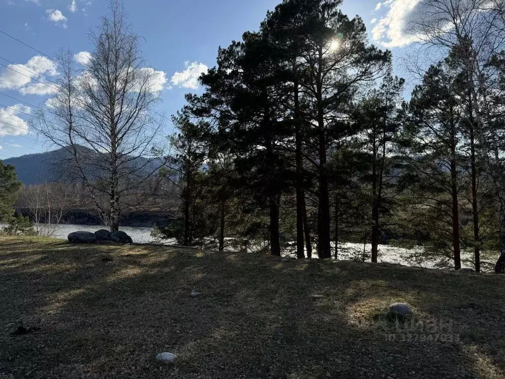 Участок в Алтай, Чемальский район, Элекмонарское с/пос, с. Элекмонар  ... - Фото 1