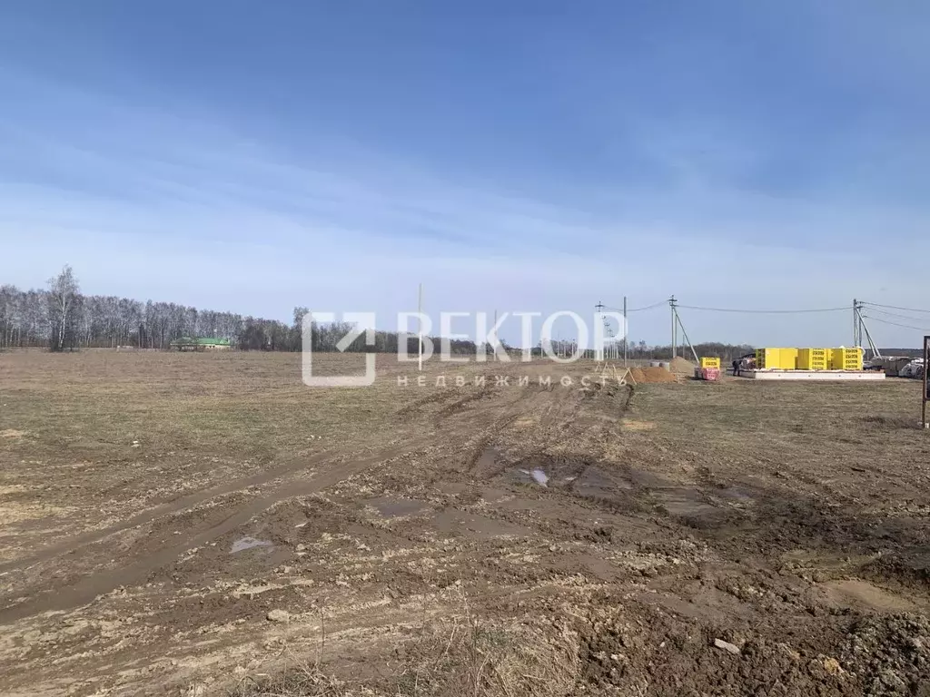 Участок в Костромская область, Костромской район, Никольское с/пос, ... - Фото 1