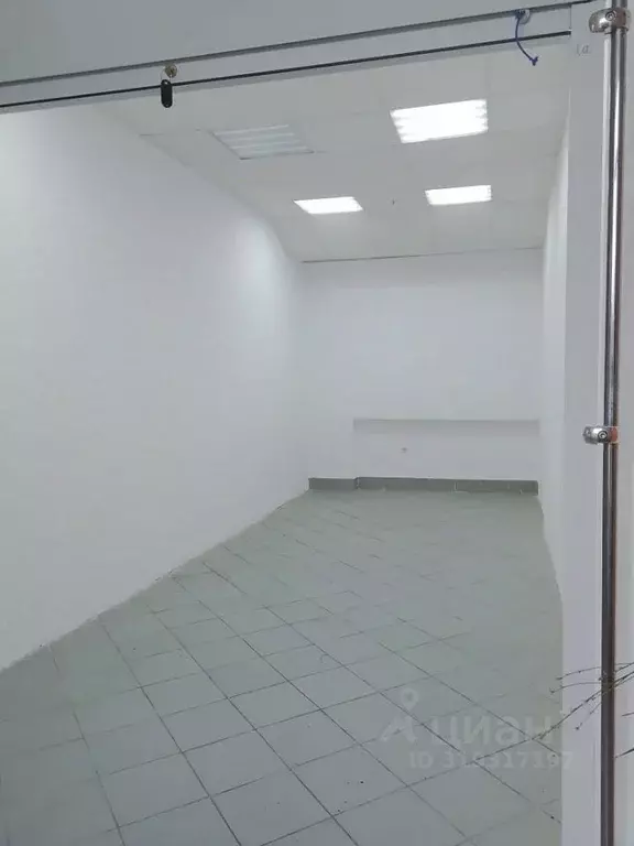Помещение свободного назначения в Самарская область, Новокуйбышевск ... - Фото 1