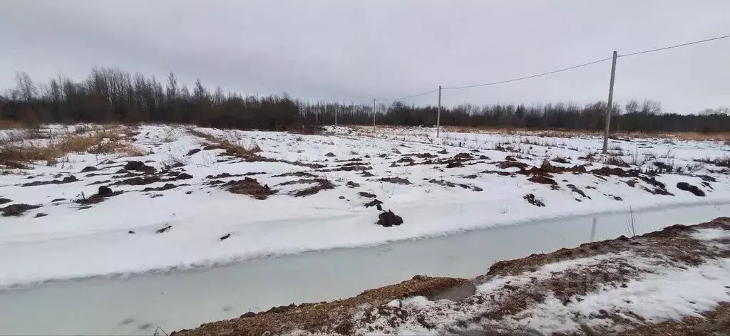Участок в Вологодская область, Шекснинский район, д. Нифантово  (12.1 ... - Фото 1