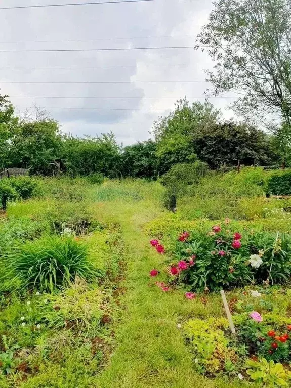Дом в Московская область, Балашиха городской округ, д. ... - Фото 1