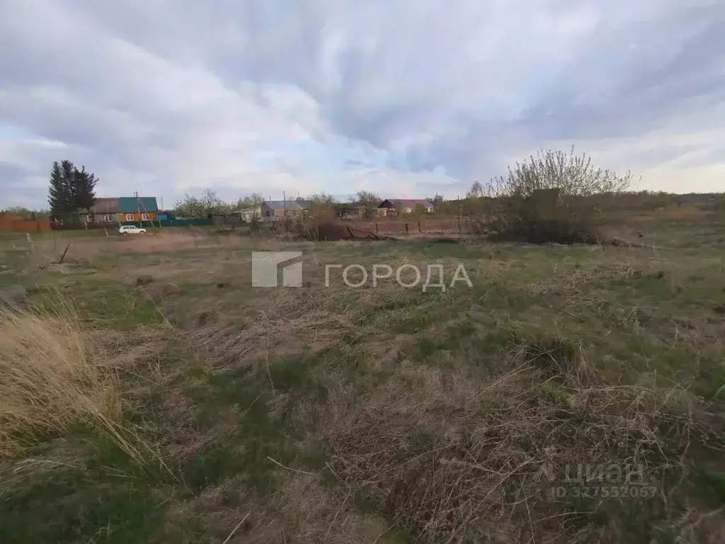 Участок в Алтайский край, Первомайский район, Бобровский сельсовет, ... - Фото 2