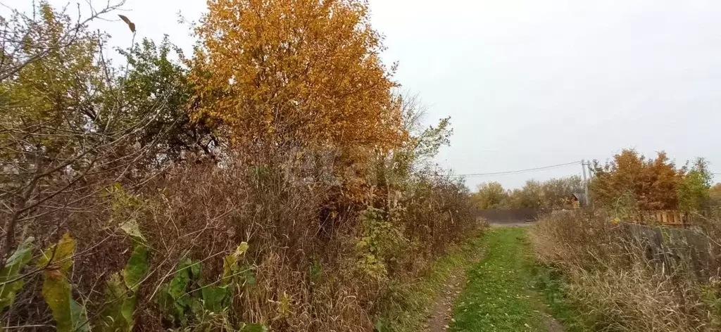 Участок в Вологодская область, Сокол ул. Жилучасток 2 (15.0 сот.) - Фото 1