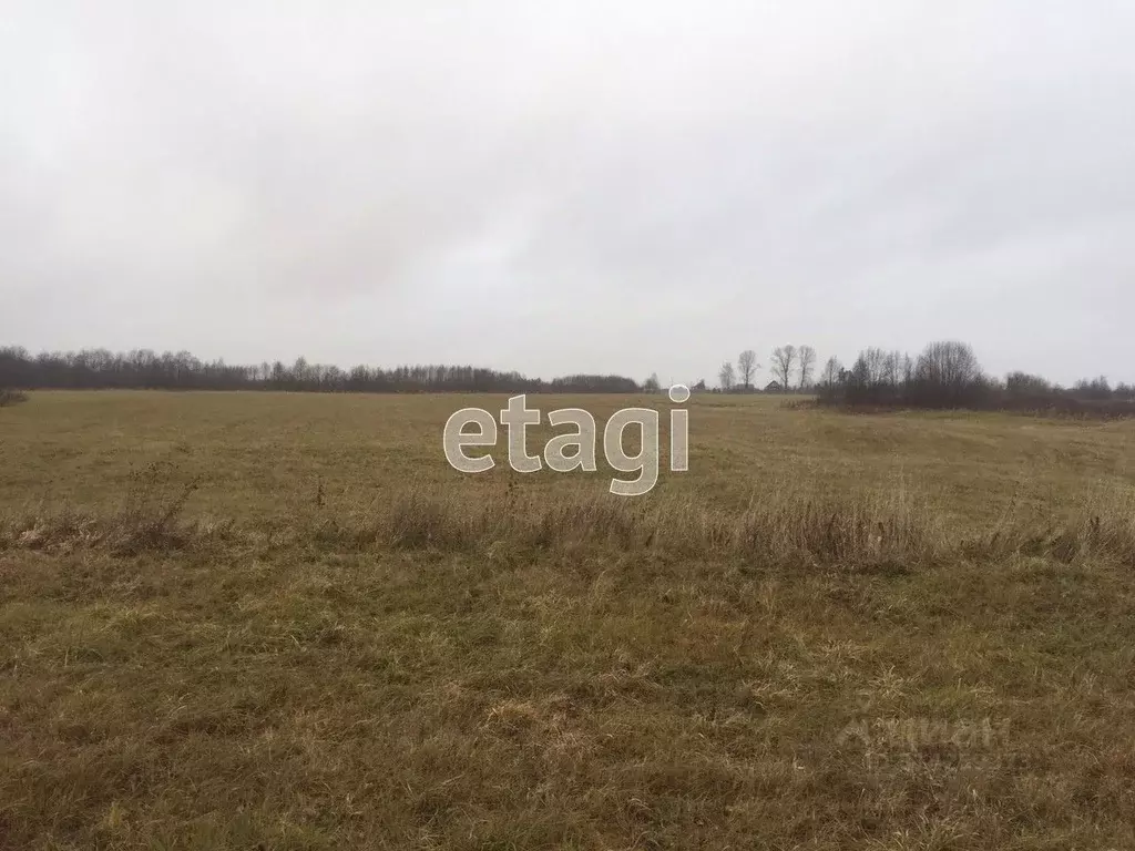 Участок в Архангельская область, Котласский муниципальный округ, д. ... - Фото 1