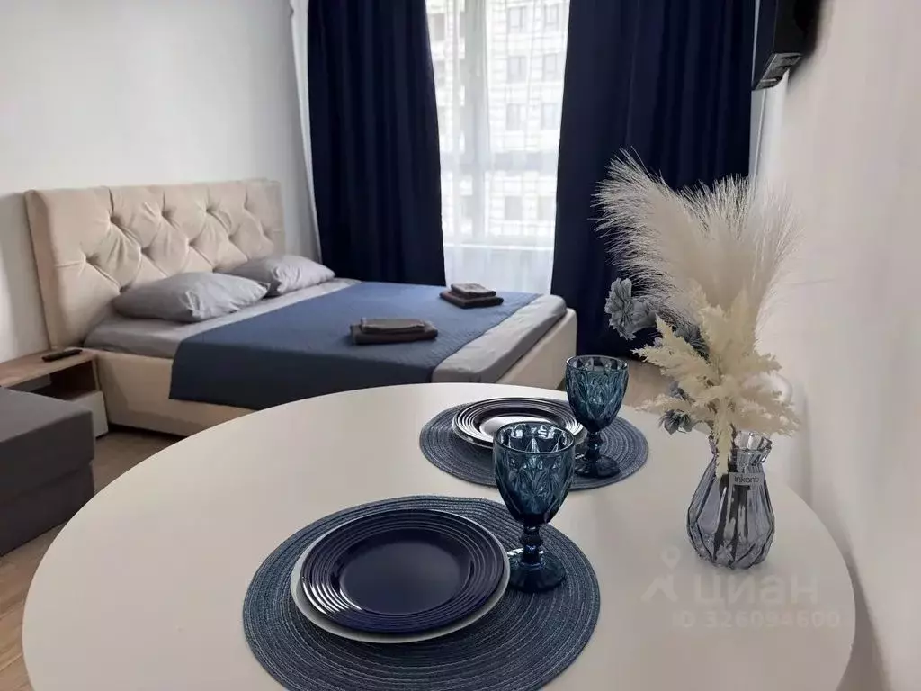 Студия Забайкальский край, Чита Хороший мкр, 14 (29.0 м) - Фото 2