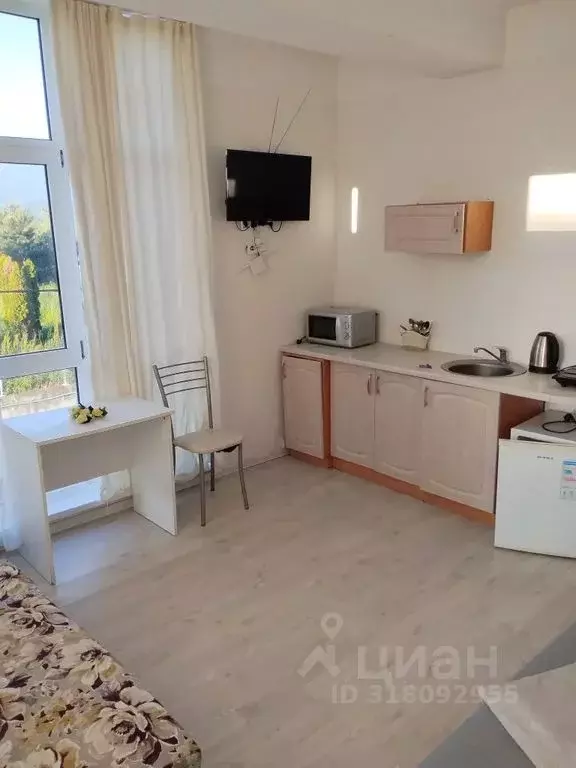 Студия Краснодарский край, Сириус пгт ул. Таврическая, 1/6Б (26.0 м) - Фото 0
