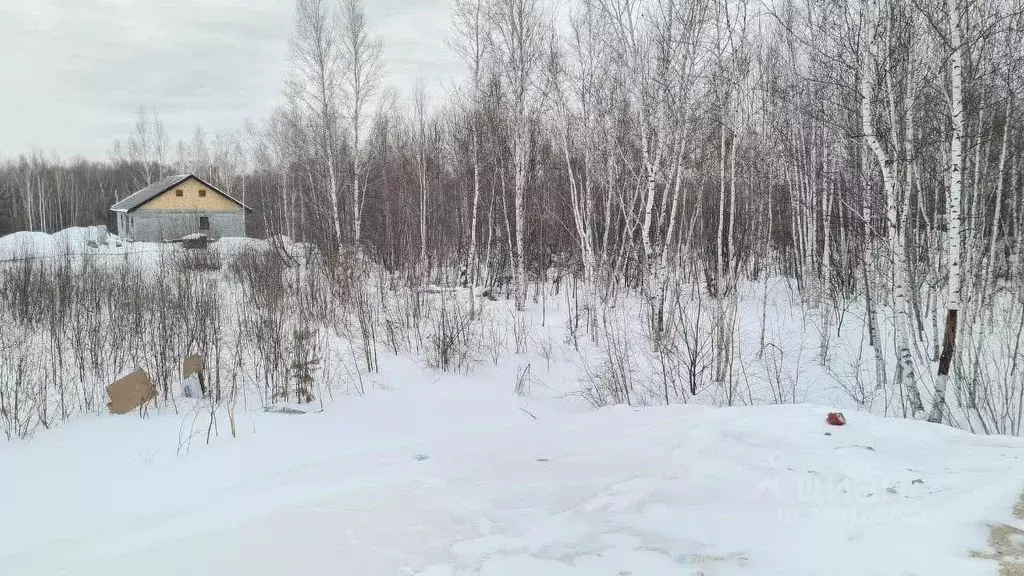 Участок в Амурская область, Благовещенский район, с. Чигири ул. ... - Фото 0