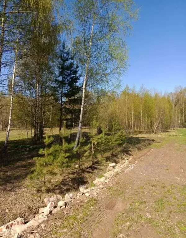 Участок в Костромская область, Красносельский муниципальный округ, ... - Фото 2