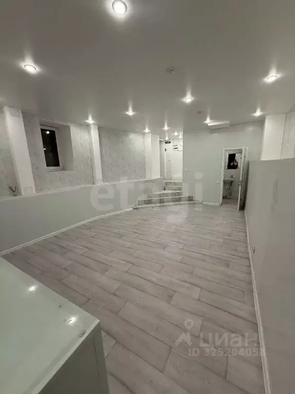 Офис в Санкт-Петербург пер. Пирогова, 19 (53 м) - Фото 1