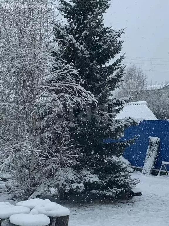 Дом в Чита, ДНТ Светлый (231 м) - Фото 2