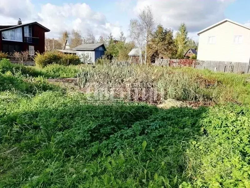 Участок в Ленинградская область, Всеволожский район, Колтушское ... - Фото 2