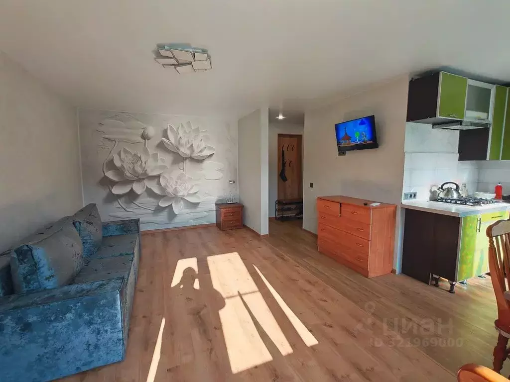 1-к кв. Московская область, Орехово-Зуево ул. Гагарина, 23 (50.0 м) - Фото 1