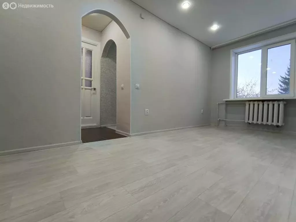 1-комнатная квартира: село Дмитриевка, Трактовая улица, 13/1 (29 м) - Фото 1