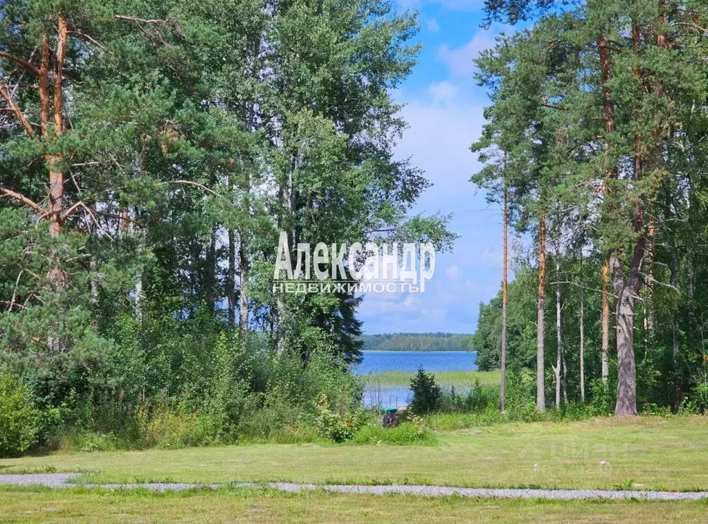 Дом в Карелия, Лахденпохский муниципальный округ, Район поселка ... - Фото 1