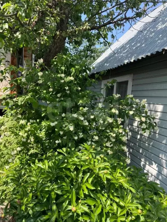 Участок в Челябинская область, Озерск Малая Нанога СНТ,  (6.0 сот.) - Фото 2