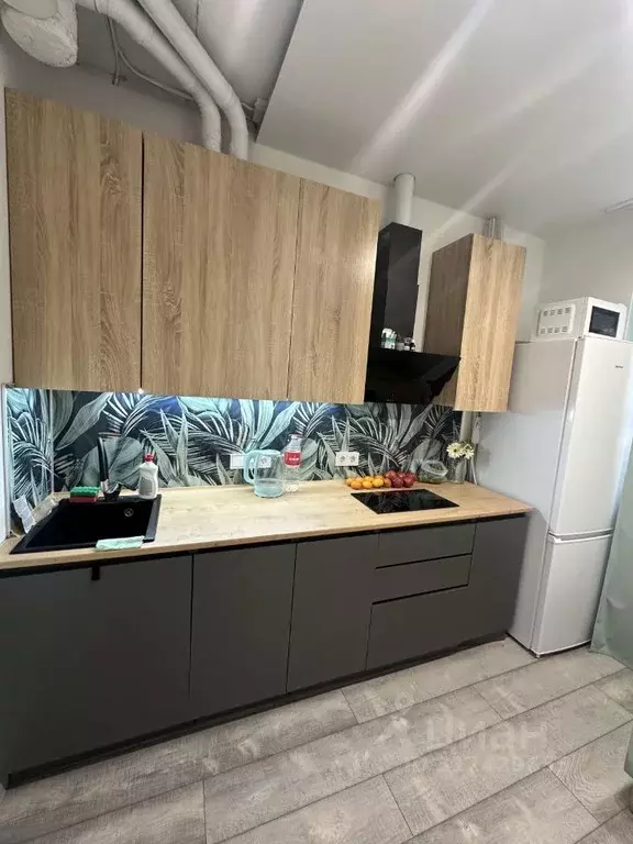 Студия Краснодарский край, Сочи Лысая Гора садоводческое товарищество, ... - Фото 1