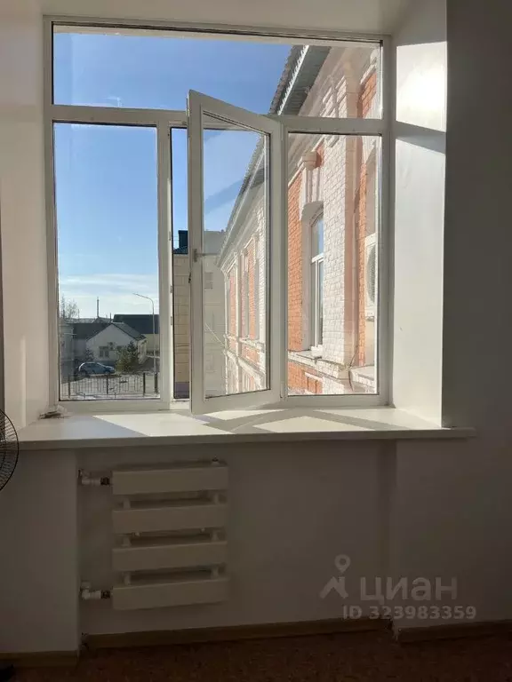 Помещение свободного назначения в Пензенская область, Нижний Ломов ул. ... - Фото 1