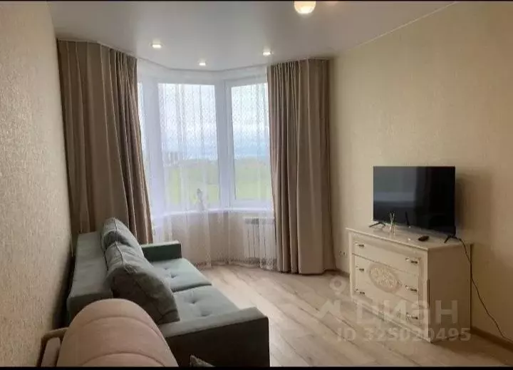 1-к кв. Псковская область, Псковский район, Завеличенская волость, д. ... - Фото 1