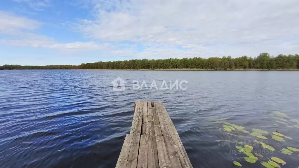 Участок в Владимирская область, Камешковский муниципальный округ, д. ... - Фото 2