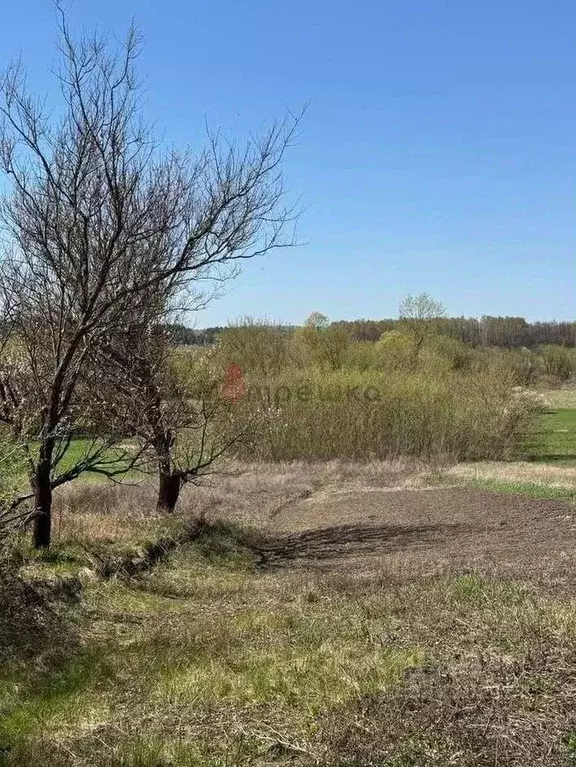 Участок в Белгородская область, Белгородский муниципальный округ, с. ... - Фото 2