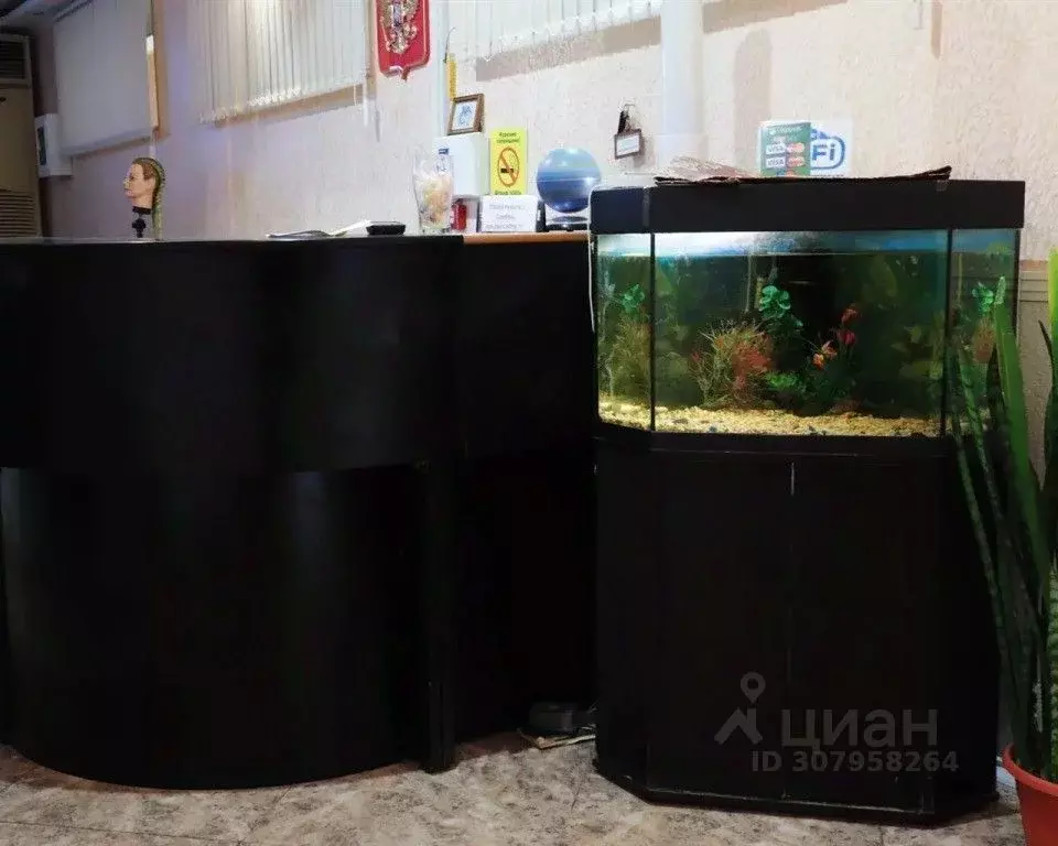 Комната Краснодарский край, Сочи Лазаревское жилрайон, ул. Калараша, ... - Фото 1