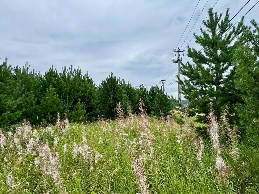 Участок в Свердловская область, Полевской муниципальный округ, с. ... - Фото 2