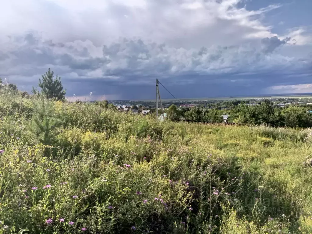 Участок в Алтайский край, Белокуриха Раздольная ул. (8.0 сот.) - Фото 1