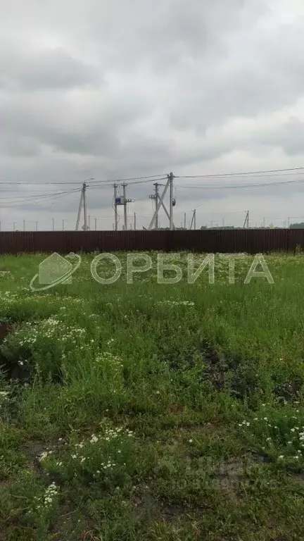 Участок в Тюменская область, Тюменский район, с. Кулига, Сказка кп  ... - Фото 1