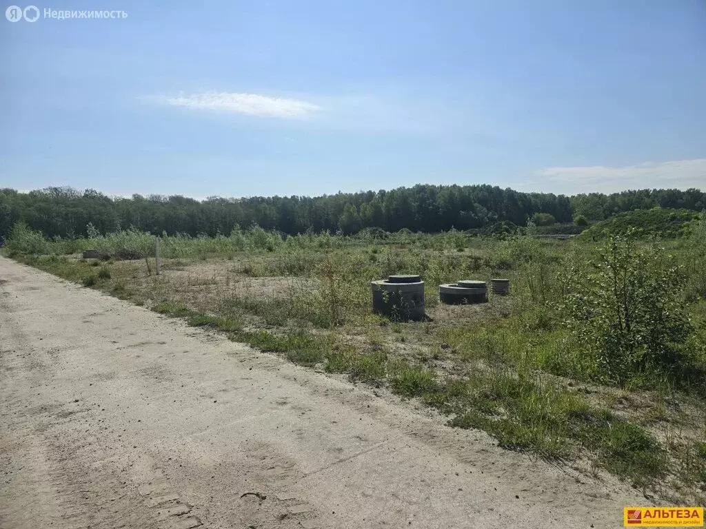 Участок в посёлок Холмогоровка, жилой комплекс Новая Холмогоровка ... - Фото 2