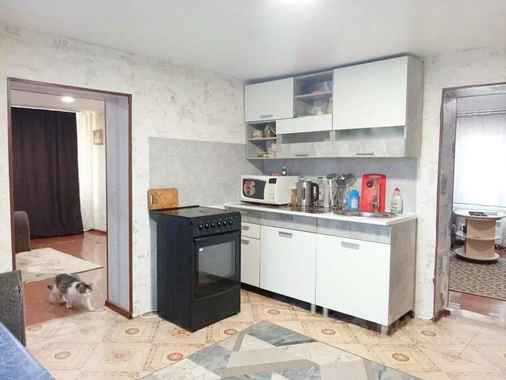 Дом в Хакасия, Бейский район, с. Сабинка ул. Мизяева, 17 (60 м) - Фото 2