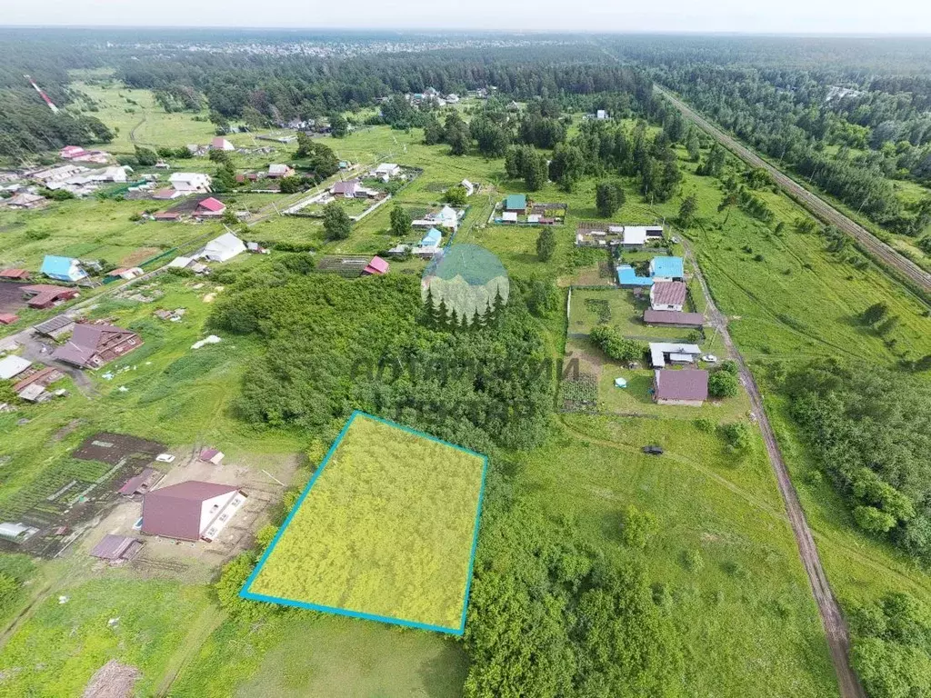 Участок в Алтайский край, Первомайский район, с. Боровиха ул. Южная, ... - Фото 1