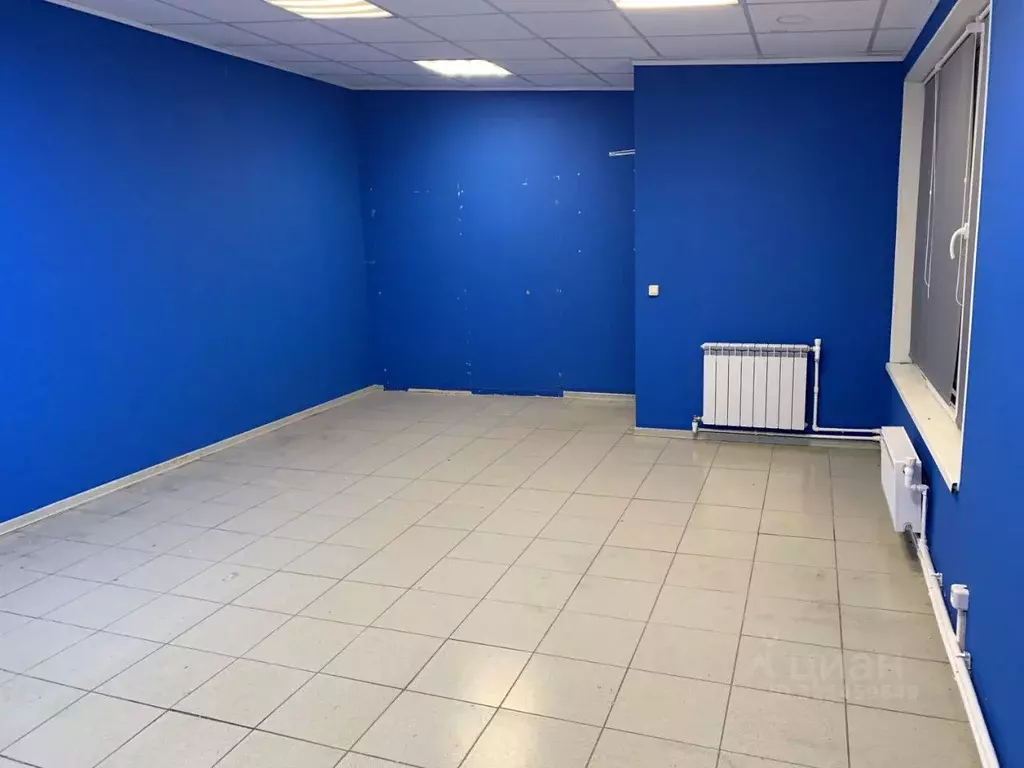 Торговая площадь в Псковская область, Псковский район, Завеличенская ... - Фото 1