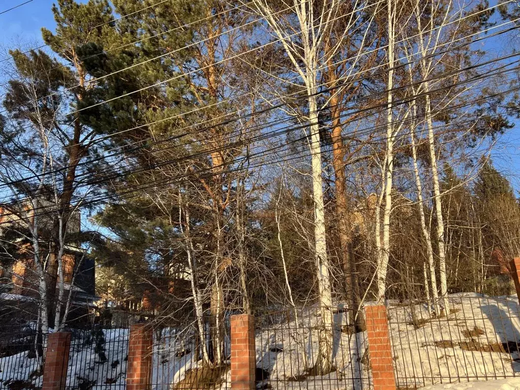 Участок в Иркутская область, Иркутск Ершовский мкр, ул. Пихтовая (8.0 ... - Фото 2