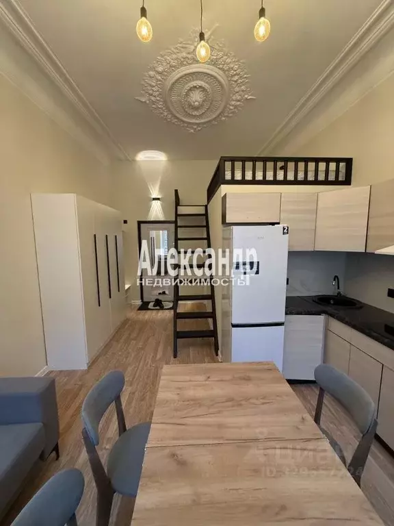 Студия Санкт-Петербург ул. Рубинштейна, 5 (28.0 м) - Фото 1