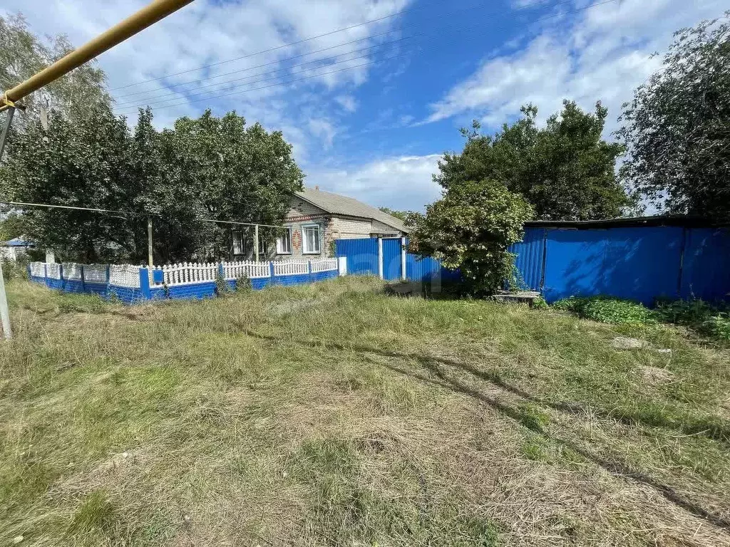 Дом в Белгородская область, Новооскольский муниципальный округ, с. ... - Фото 2